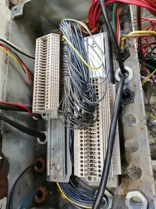 IMG_20200331_154220.jpg (11741 просмотр) <a class='original' href='./download/file.php?id=179316&mode=view' target=_blank>Загрузить оригинал (3.08 МБ)</a>