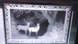 IMG-20180703-WA0001.jpeg (12009 просмотров) <a class='original' href='./download/file.php?id=179376&mode=view' target=_blank>Загрузить оригинал (400.26 КБ)</a>