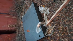 20191021_172452.jpg (43457 просмотров) <a class='original' href='./download/file.php?id=179426&mode=view' target=_blank>Загрузить оригинал (3.15 МБ)</a>