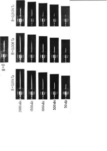 Исследование частоты питающего напряжения для статора (8377 просмотров) <a class='original' href='./download/file.php?id=17957&mode=view' target=_blank>Загрузить оригинал (309.03 КБ)</a>