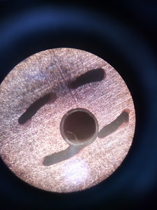 IMG_20200405_182856.jpg (2495 просмотров) <a class='original' href='./download/file.php?id=179702&mode=view' target=_blank>Загрузить оригинал (2.88 МБ)</a>