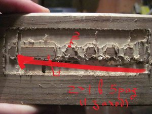 5.jpg (4157 просмотров) <a class='original' href='./download/file.php?id=18057&mode=view' target=_blank>Загрузить оригинал (166.18 КБ)</a>