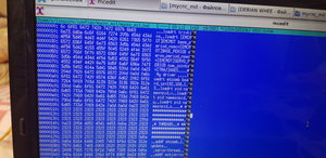 20200502_101755.jpg (2094 просмотра) <a class='original' href='./download/file.php?id=180800&mode=view' target=_blank>Загрузить оригинал (5.24 МБ)</a>