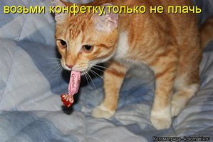 конфета.jpg (4198 просмотров) <a class='original' href='./download/file.php?id=181476&mode=view' target=_blank>Загрузить оригинал (27.57 КБ)</a>