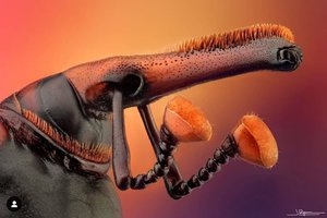 10663.jpg (5066 просмотров) <a class='original' href='./download/file.php?id=182081&mode=view' target=_blank>Загрузить оригинал (314.88 КБ)</a>