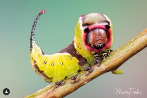 10664.jpg (5066 просмотров) <a class='original' href='./download/file.php?id=182084&mode=view' target=_blank>Загрузить оригинал (235.92 КБ)</a>