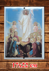 DSC_8748 копия.jpg (1907 просмотров) <a class='original' href='./download/file.php?id=182200&mode=view' target=_blank>Загрузить оригинал (6.88 МБ)</a>