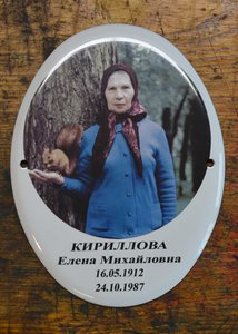 DSC_8764.JPG (1906 просмотров) <a class='original' href='./download/file.php?id=182201&mode=view' target=_blank>Загрузить оригинал (302.15 КБ)</a>