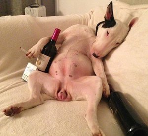 10666.jpg (4821 просмотр) <a class='original' href='./download/file.php?id=182455&mode=view' target=_blank>Загрузить оригинал (376.9 КБ)</a>