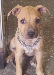 20130829_1115451.jpg (17770 просмотров) <a class='original' href='./download/file.php?id=18267&mode=view' target=_blank>Загрузить оригинал (57.06 КБ)</a>