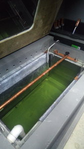 P_20200622_172800.jpg (4159 просмотров) <a class='original' href='./download/file.php?id=183056&mode=view' target=_blank>Загрузить оригинал (1.48 МБ)</a>