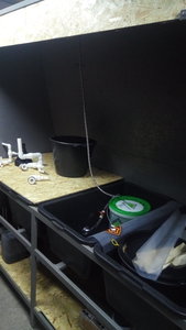 P_20200622_172734.jpg (4149 просмотров) <a class='original' href='./download/file.php?id=183061&mode=view' target=_blank>Загрузить оригинал (943.17 КБ)</a>