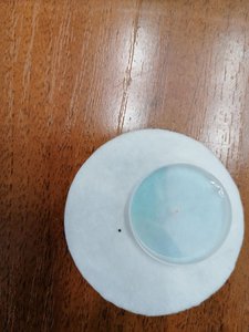 IMG_20200625_093234.jpg (2524 просмотра) <a class='original' href='./download/file.php?id=183159&mode=view' target=_blank>Загрузить оригинал (100.06 КБ)</a>