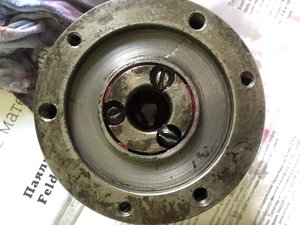 IMG_6988.JPG (4000 просмотров) <a class='original' href='./download/file.php?id=183384&mode=view' target=_blank>Загрузить оригинал (3.02 МБ)</a>