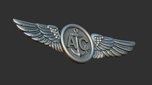 navy air crew _image2.jpg (4991 просмотр) <a class='original' href='./download/file.php?id=183670&mode=view' target=_blank>Загрузить оригинал (525.7 КБ)</a>