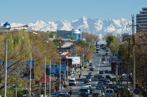 1475772077134760453.jpg (6127 просмотров) <a class='original' href='./download/file.php?id=183763&mode=view' target=_blank>Загрузить оригинал (316.37 КБ)</a>