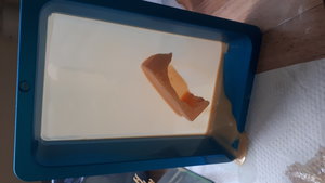 20200718_162234.jpg (2562 просмотра) <a class='original' href='./download/file.php?id=183996&mode=view' target=_blank>Загрузить оригинал (1.3 МБ)</a>