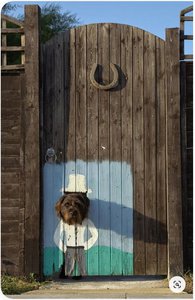 10682.jpg (8295 просмотров) <a class='original' href='./download/file.php?id=184101&mode=view' target=_blank>Загрузить оригинал (306.48 КБ)</a>