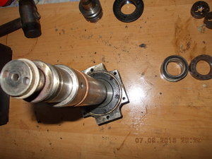 DSCN1985.JPG (17193 просмотра) <a class='original' href='./download/file.php?id=18417&mode=view' target=_blank>Загрузить оригинал (247.01 КБ)</a>