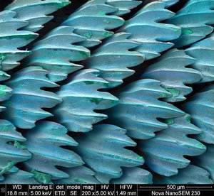 213.jpg (4323 просмотра) <a class='original' href='./download/file.php?id=184683&mode=view' target=_blank>Загрузить оригинал (276.98 КБ)</a>