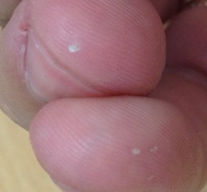 IMG_0622.JPG (2346 просмотров) <a class='original' href='./download/file.php?id=18518&mode=view' target=_blank>Загрузить оригинал (131.6 КБ)</a>