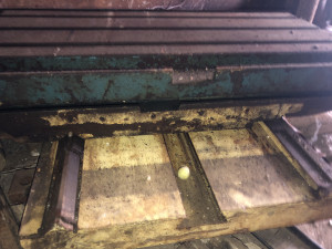 66D01FF6-624D-4DE6-A0CA-F08FAA2A3314.jpeg (16038 просмотров) <a class='original' href='./download/file.php?id=186050&mode=view' target=_blank>Загрузить оригинал (3.1 МБ)</a>