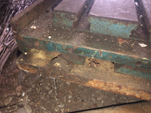 63CF30A0-5518-4658-8BA4-F60D0DD1F1A5.jpeg (16038 просмотров) <a class='original' href='./download/file.php?id=186051&mode=view' target=_blank>Загрузить оригинал (4.24 МБ)</a>