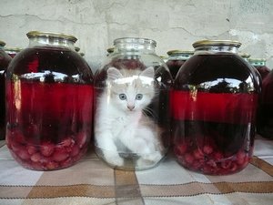 0_5aef6_e36ac740_XL.jpg (2071 просмотр) <a class='original' href='./download/file.php?id=18750&mode=view' target=_blank>Загрузить оригинал (136.48 КБ)</a>