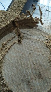 photo_2020-10-28_14-44-32.jpg (1778 просмотров) <a class='original' href='./download/file.php?id=188017&mode=view' target=_blank>Загрузить оригинал (174.69 КБ)</a>