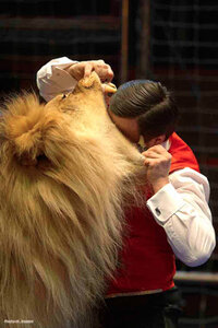 unnamed.jpg (1357 просмотров) <a class='original' href='./download/file.php?id=188057&mode=view' target=_blank>Загрузить оригинал (48.07 КБ)</a>