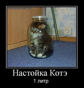 getImage.jpg (3301 просмотр) <a class='original' href='./download/file.php?id=18858&mode=view' target=_blank>Загрузить оригинал (30.18 КБ)</a>