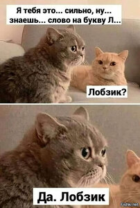 Лобзик.jpg (1393 просмотра) <a class='original' href='./download/file.php?id=189504&mode=view' target=_blank>Загрузить оригинал (173.39 КБ)</a>