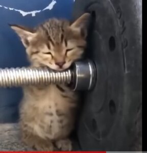 Быстрорез.jpg (1475 просмотров) <a class='original' href='./download/file.php?id=189860&mode=view' target=_blank>Загрузить оригинал (33.46 КБ)</a>