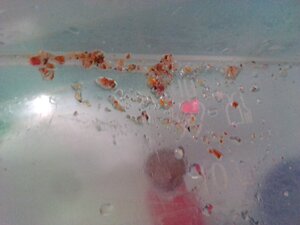 IMG_20201229_224520.jpg (1370 просмотров) <a class='original' href='./download/file.php?id=190494&mode=view' target=_blank>Загрузить оригинал (2.12 МБ)</a>