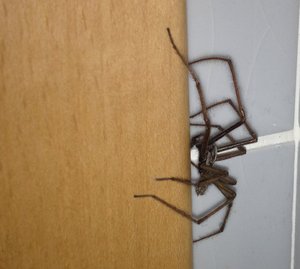 IMG_0839.JPG (3129 просмотров) <a class='original' href='./download/file.php?id=19058&mode=view' target=_blank>Загрузить оригинал (462.5 КБ)</a>