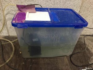 IjXGNbaxjtzwggzRjlUOYVCWjth6lITe.jpg (1352 просмотра) <a class='original' href='./download/file.php?id=191250&mode=view' target=_blank>Загрузить оригинал (240.89 КБ)</a>