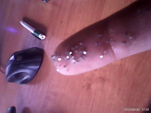 DSC_0000031.jpg (9123 просмотра) <a class='original' href='./download/file.php?id=19141&mode=view' target=_blank>Загрузить оригинал (101.83 КБ)</a>