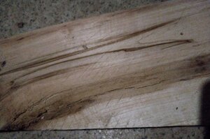 IMG_20210128_183053561.jpg (3830 просмотров) <a class='original' href='./download/file.php?id=191676&mode=view' target=_blank>Загрузить оригинал (1000.89 КБ)</a>