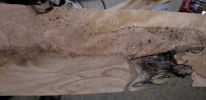 IMG_20210128_182342122.jpg (3828 просмотров) <a class='original' href='./download/file.php?id=191682&mode=view' target=_blank>Загрузить оригинал (1000.09 КБ)</a>