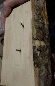 IMG_20210128_182937326.jpg (3851 просмотр) <a class='original' href='./download/file.php?id=191689&mode=view' target=_blank>Загрузить оригинал (574.24 КБ)</a>