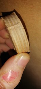 IMG_20210203_081300.jpg (1408 просмотров) <a class='original' href='./download/file.php?id=191924&mode=view' target=_blank>Загрузить оригинал (1.15 МБ)</a>