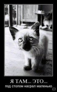 123.JPG (3319 просмотров) <a class='original' href='./download/file.php?id=19241&mode=view' target=_blank>Загрузить оригинал (26.46 КБ)</a>