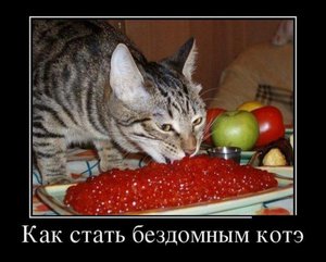 123.JPG (1947 просмотров) <a class='original' href='./download/file.php?id=19263&mode=view' target=_blank>Загрузить оригинал (56.88 КБ)</a>