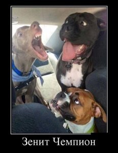 125.jpg (1947 просмотров) <a class='original' href='./download/file.php?id=19265&mode=view' target=_blank>Загрузить оригинал (40.85 КБ)</a>