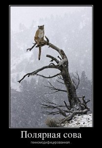 123.JPG (1941 просмотр) <a class='original' href='./download/file.php?id=19266&mode=view' target=_blank>Загрузить оригинал (54.81 КБ)</a>