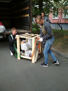 Доставка.jpg (130216 просмотров) <a class='original' href='./download/file.php?id=193150&mode=view' target=_blank>Загрузить оригинал (2.52 МБ)</a>