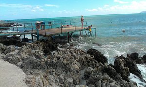 IMAG0346.jpg (2245 просмотров) <a class='original' href='./download/file.php?id=19369&mode=view' target=_blank>Загрузить оригинал (1.02 МБ)</a>