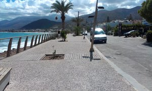 IMAG0357.jpg (2245 просмотров) <a class='original' href='./download/file.php?id=19371&mode=view' target=_blank>Загрузить оригинал (1.07 МБ)</a>