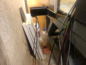 IMG_4995.jpg (4411 просмотров) <a class='original' href='./download/file.php?id=193829&mode=view' target=_blank>Загрузить оригинал (742.31 КБ)</a>