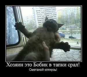 123.JPG (1899 просмотров) <a class='original' href='./download/file.php?id=19383&mode=view' target=_blank>Загрузить оригинал (212.93 КБ)</a>